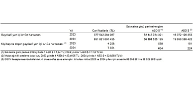 Araştırma-Geliştirme Faaliyetleri Araştırması, 2024