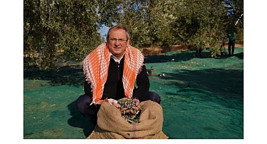 Mesut Ergin: “Dünya Zeytin Ağacı Günü Kutlu Olsun”