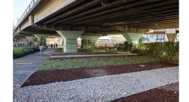 80 futbol sahası büyüklüğündeki alanda dönüşüm tamam